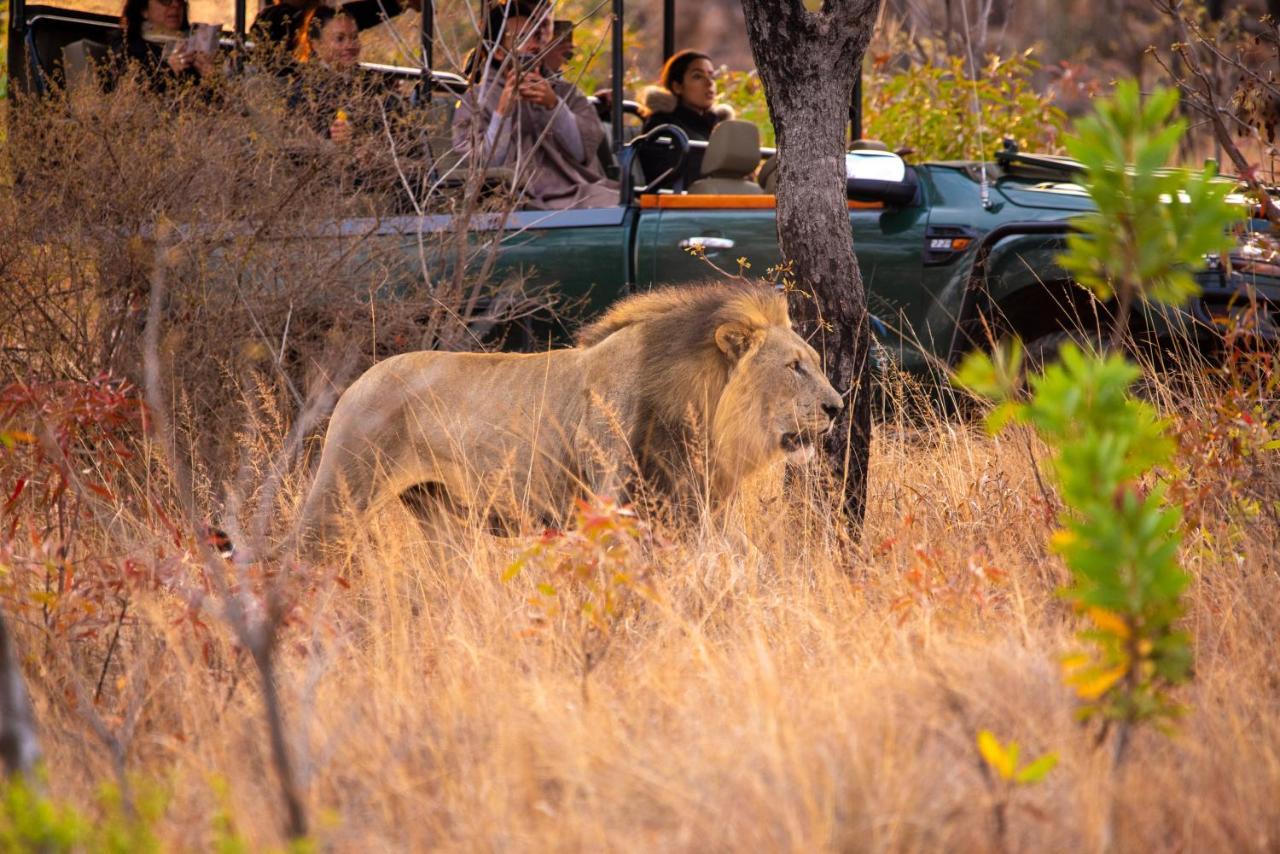 Nungubane Game Lodge محمية ويلغيفوندين غايم المظهر الخارجي الصورة